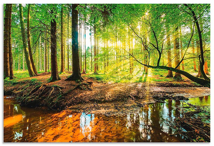 Artland Wandbild "Wald mit Bach" Wald 1 Stk. tlg. als Alubild, Outdoorbild, günstig online kaufen