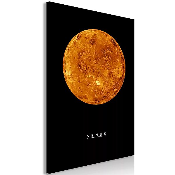 Wandbild - Venus (1 Part) Vertical günstig online kaufen