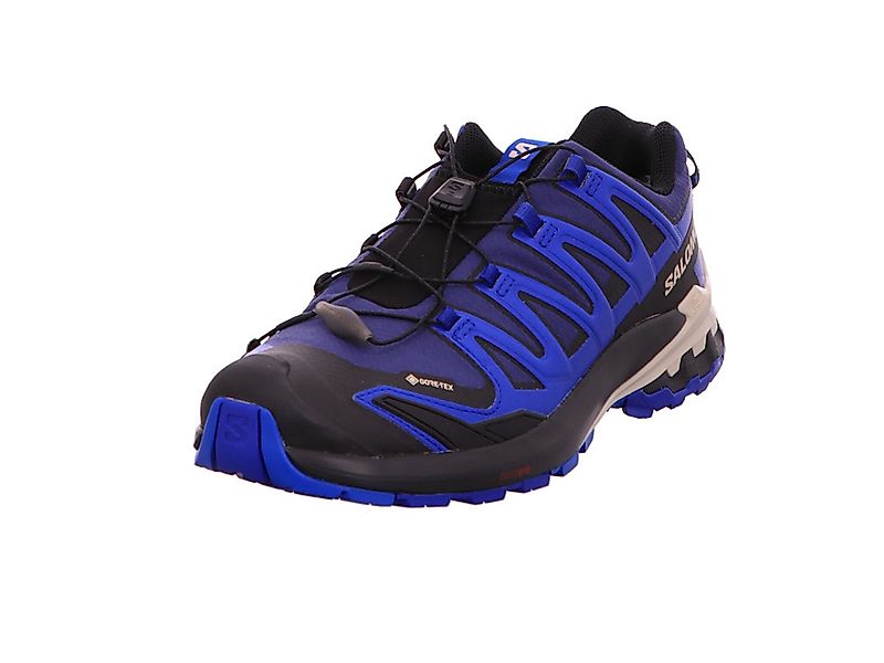 Salomon XA PRO 3D V9 GTX günstig online kaufen