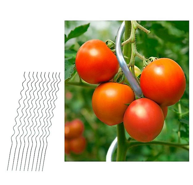 Home4Living Rankhilfe Tomatenstäbe Tomatenspiralstab Tomatenstange 10er Set günstig online kaufen