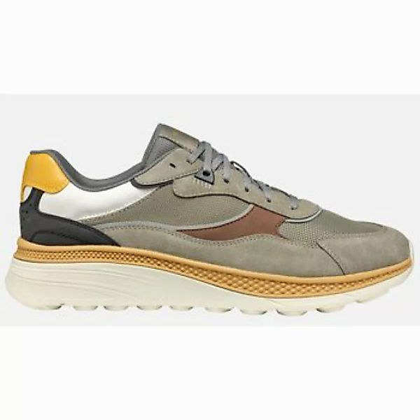 Geox  Sneaker GEUPE25-U55HUA-sage günstig online kaufen