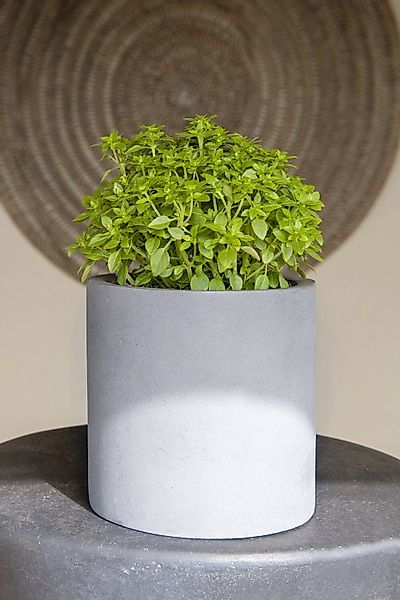 finestgreen Pflanzkübel Handgefertigtes Pflanzgefäß Mini Max günstig online kaufen