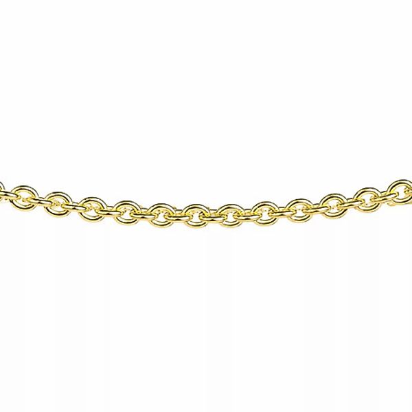 Ernstes Design Ankerkette, 4 mm, Gelbgold beschichtet,  42 cm günstig online kaufen