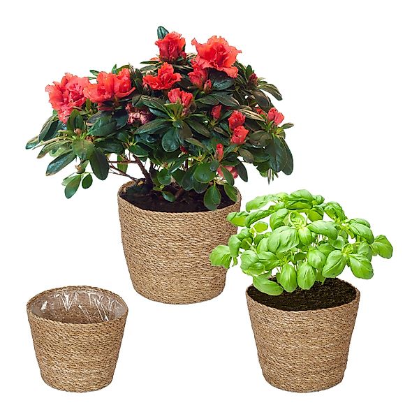 relaxdays Blumentopf Seegras Blumentopf 3er Set günstig online kaufen
