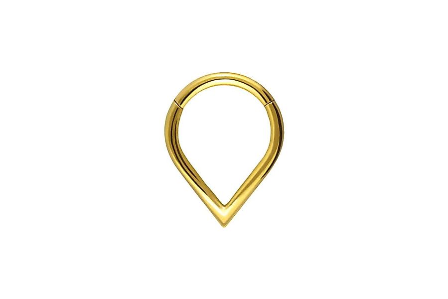 PIERCINGLINE Piercing-Set Titan Segmentring Clicker SPITZ günstig online kaufen
