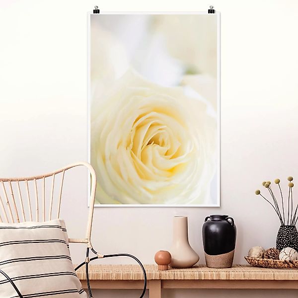 Poster - Hochformat White Rose günstig online kaufen