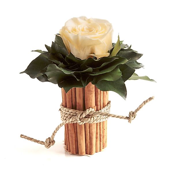 Kunstblumenstrauß Blumenstrauß Zimtbecher Infinity Rosen Kunstpflanze, günstig online kaufen