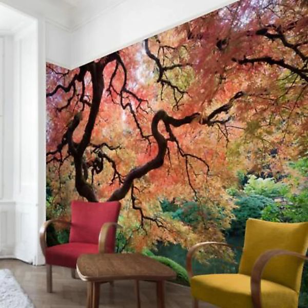 Bilderwelten Fototapete Wald Japanischer Garten rot Gr. 336 x 225 günstig online kaufen