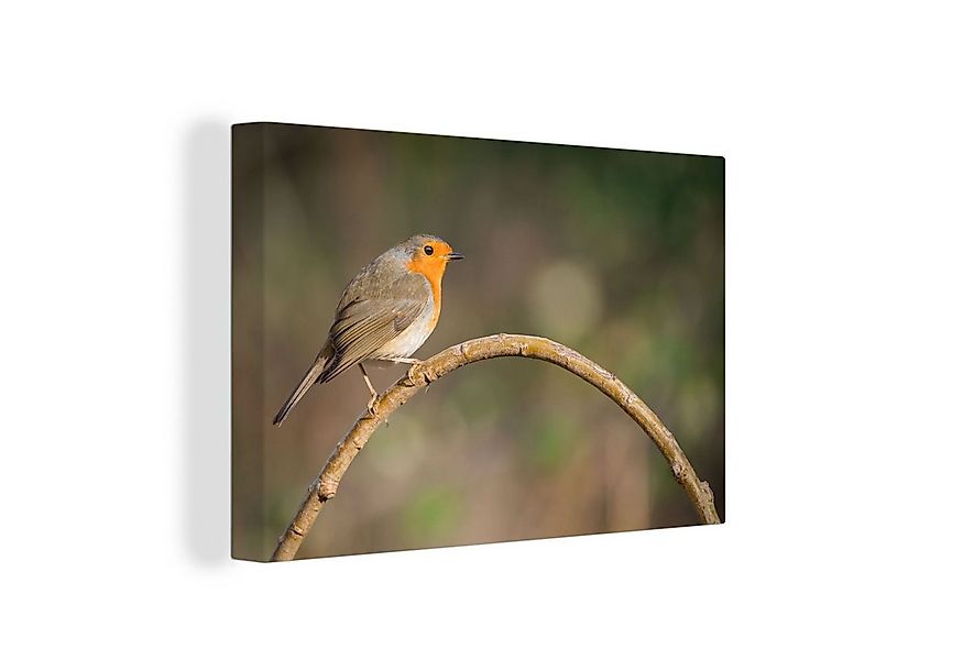 OneMillionCanvasses® Leinwandbild Rotkehlchen - Vogel - Natur, Fotodruck (1 günstig online kaufen