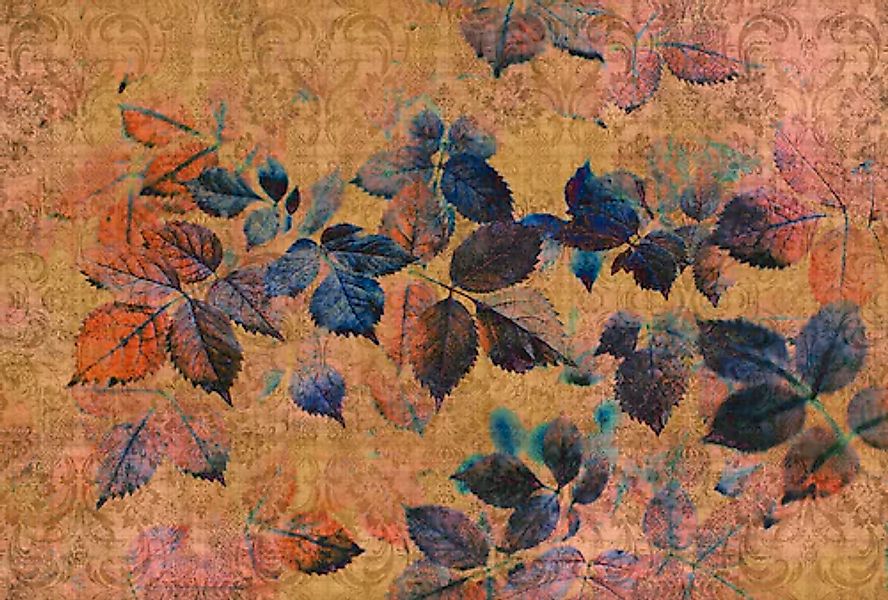 living walls Fototapete »Walls by Patel Indian Summer 2« glatt Vlies, Wand, günstig online kaufen