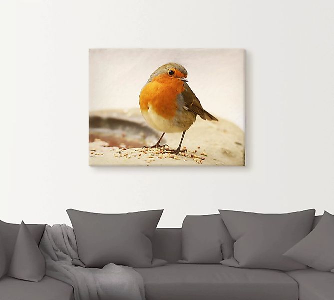 Artland Wandbild "Rotkehlchen", Vögel, (1 St.) günstig online kaufen