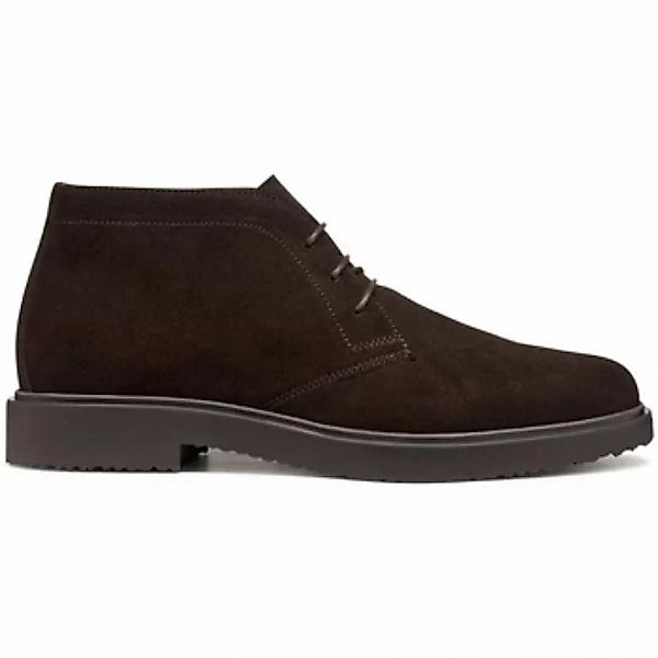 Geox  Herrenstiefel - günstig online kaufen