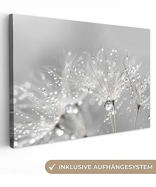 OneMillionCanvasses® Leinwandbild Löwenzahn - Wassertropfen - Stilleben - M günstig online kaufen