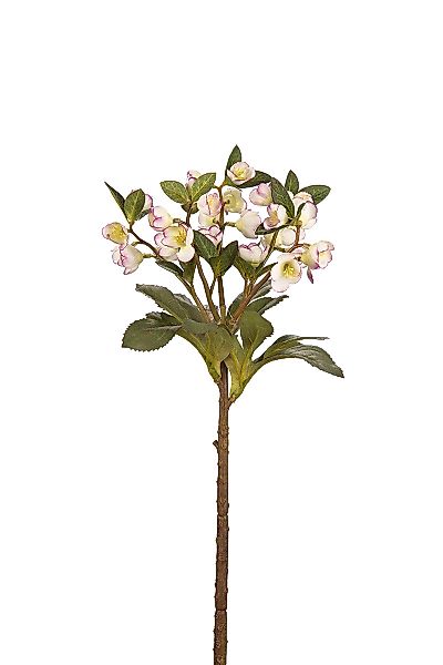 Kunstblume Helleborus creme-lila 42cm günstig online kaufen