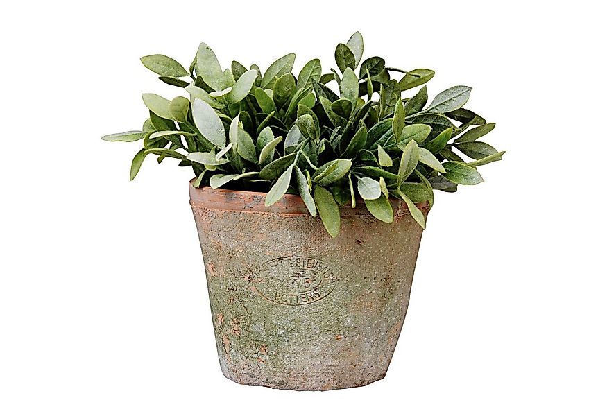 Dekowunder Übertopf 12 cm hoch Aged Terracotta Blumentopf Übertopf Umtopf r günstig online kaufen
