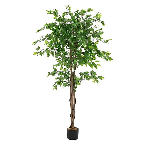 ML-Design Kunstpflanze Ficus 150 cm mit Naturholzstamm günstig online kaufen