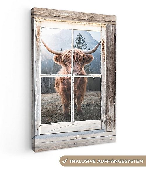 OneMillionCanvasses® Leinwandbild Schottischer Highlander - Kuh - Ansicht, günstig online kaufen