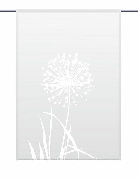 gardinen-for-life Scheibengardine Allium 24 - lichtgrau - eckiger Scheibenh günstig online kaufen