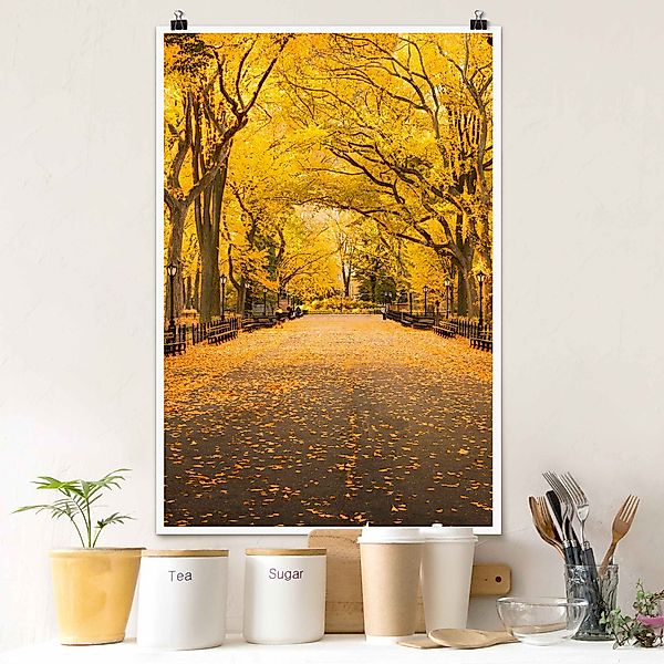 Poster Herbst im Central Park günstig online kaufen