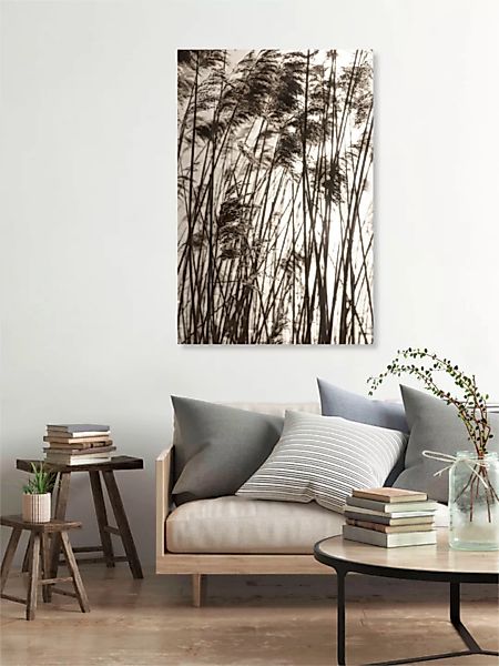 Poster / Leinwandbild - Grasses In The Golden Sunset günstig online kaufen