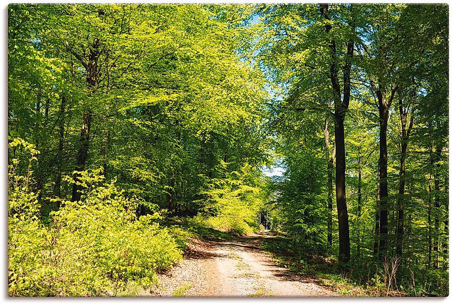 Artland Wandbild »Blauer Himmel über dem Wald im Mai«, Wald, (1 St.), als L günstig online kaufen