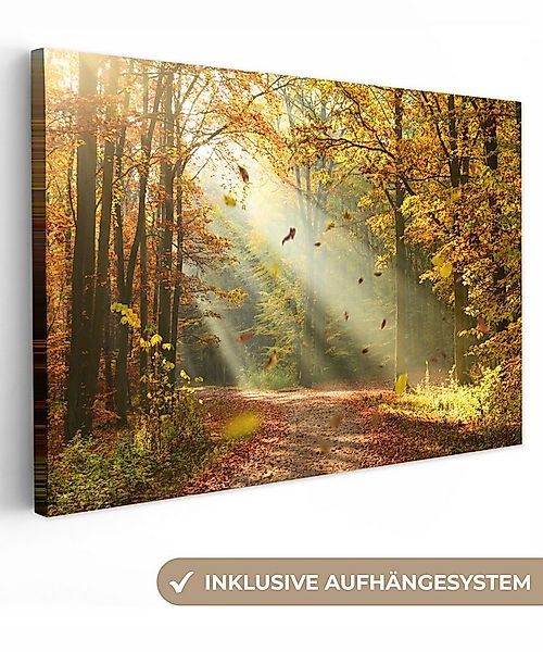 OneMillionCanvasses® Leinwandbild Wald - Bäume - Herbst - Sonne - Herbstblä günstig online kaufen