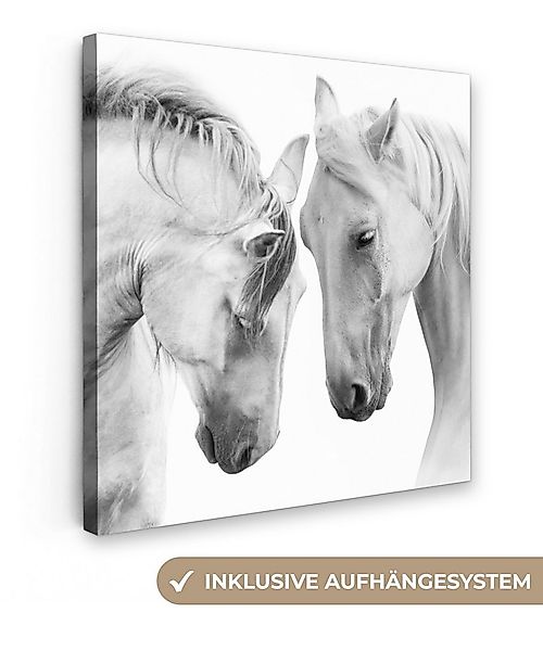 OneMillionCanvasses® Leinwandbild Pferd - Tiere - Porträt - Weiß, Fotodruck günstig online kaufen