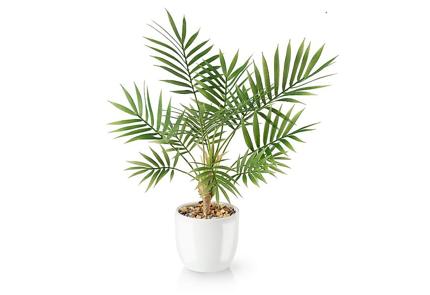 Kunstpflanze Tropische Kunstpflanzen wie echt in weißen Keramiktöpfen, Kuns günstig online kaufen