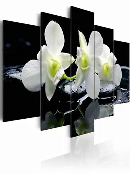 artgeist Wandbild Melancholic orchids mehrfarbig Gr. 200 x 100 günstig online kaufen
