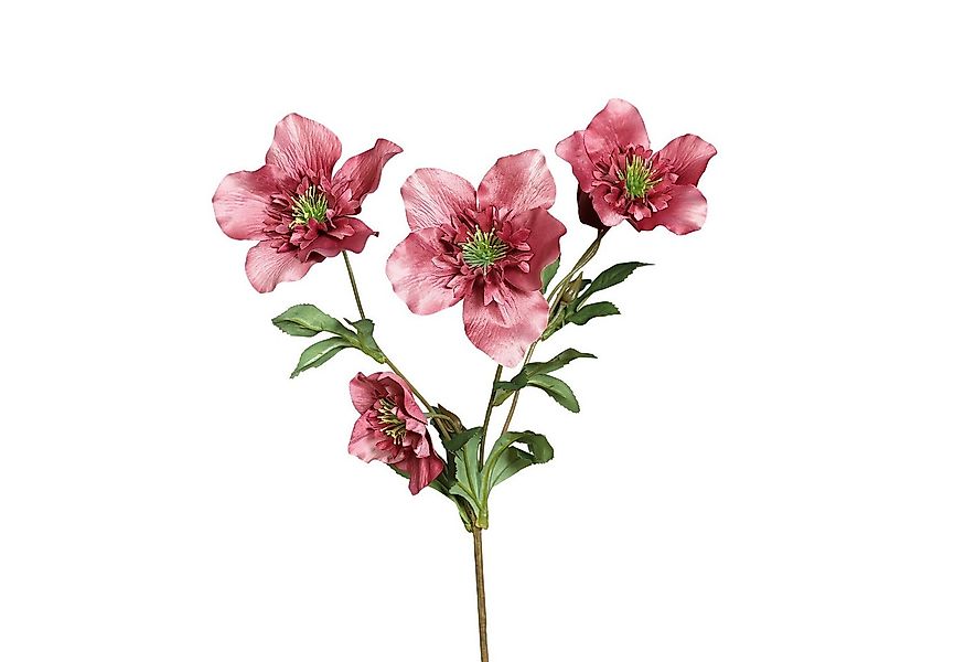 Kunstblume Christrosenzweig DP künstliche Christrose Schnnerose Blumen Hell günstig online kaufen