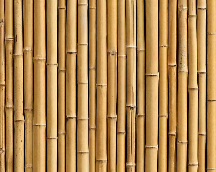 Fototapete "Bambus beige" 4,00x2,50 m / Glattvlies Brillant günstig online kaufen