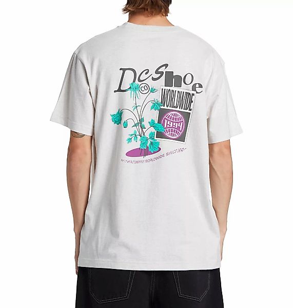 DC Shoes T-Shirt "Transfer" günstig online kaufen