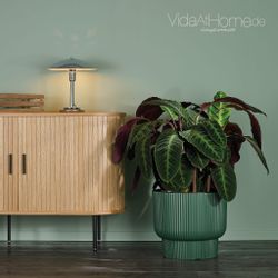 VidaAtHome.de Blumentopf Design-Pflanzgefäß ULEY ø 40er, günstig online kaufen