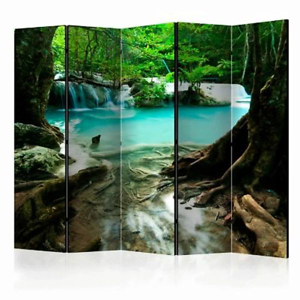 artgeist Paravent Crystal Clear Water II [Room Dividers] grün-kombi Gr. 225 günstig online kaufen