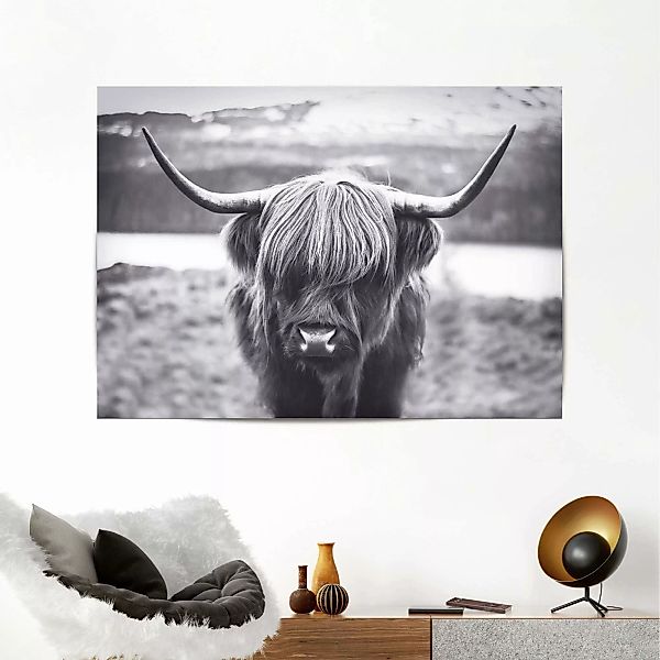 Reinders! Poster »Hochländer Kuh« günstig online kaufen