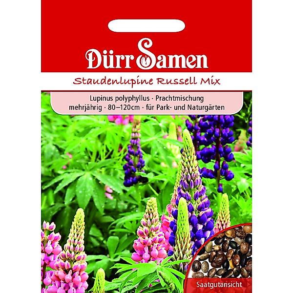Dürr Samen Staudenlupine Prachtmischung Mehrjährig Saatgut günstig online kaufen