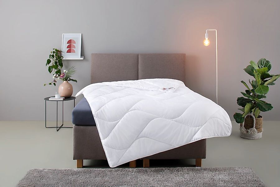 my home Microfaserbettdecke "Fantasy, Bettdecke 135x200 cm, 155x220 cm, 200 günstig online kaufen