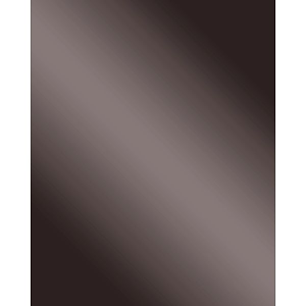 WALLFACE 10125 DECO ANTHRACITE Wandpaneel Spiegel Dekor Optik Anthrazit 260 günstig online kaufen