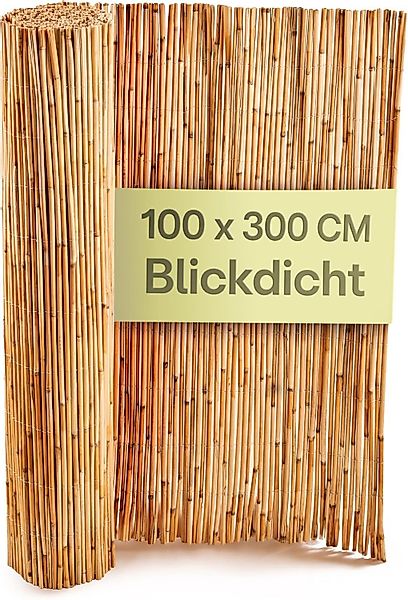 Praknu Balkonsichtschutz Schilfmatten Balkon Sichtschutz Zaun günstig online kaufen