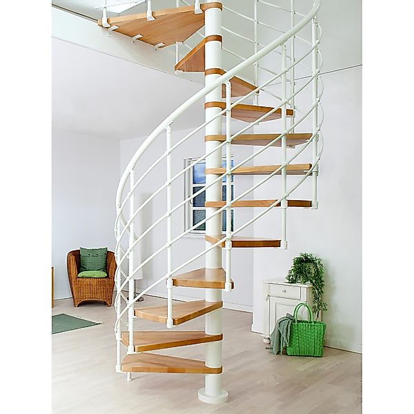 Dolle Spindeltreppe Oslo Ø 140 cm, 11 Stufen Buche GH bis 276 cm FSC® günstig online kaufen