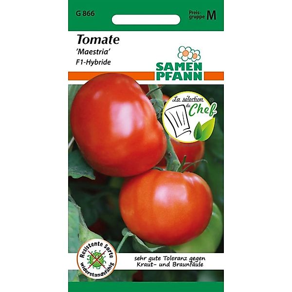 SAMEN PFANN Tomate Maestria F1 Bester Geschmack günstig online kaufen