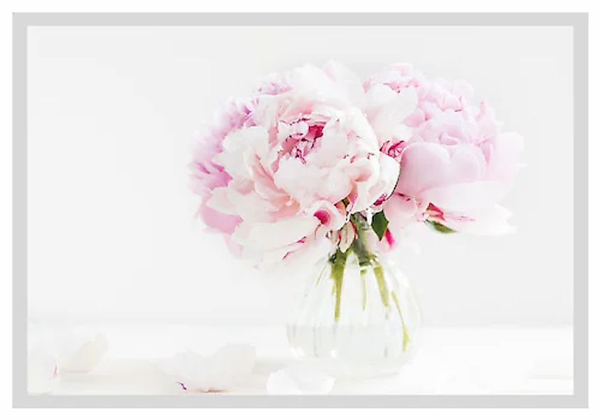 queence Bild »Carina«, Blumen, gerahmt, Rosen günstig online kaufen