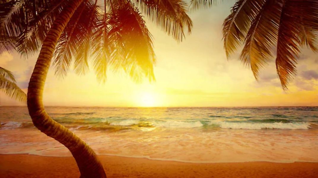 Papermoon Fototapete »Tropischer Strand Sonnenaufgang« günstig online kaufen