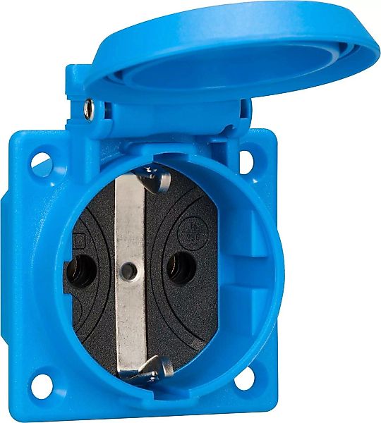ABL GmbH Einbau-Steckdose blau, IP54 1661050 günstig online kaufen
