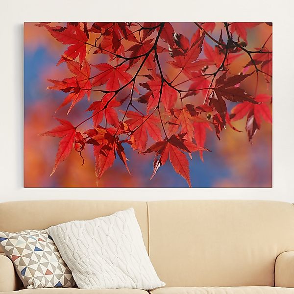 Leinwandbild - Querformat Red Maple günstig online kaufen