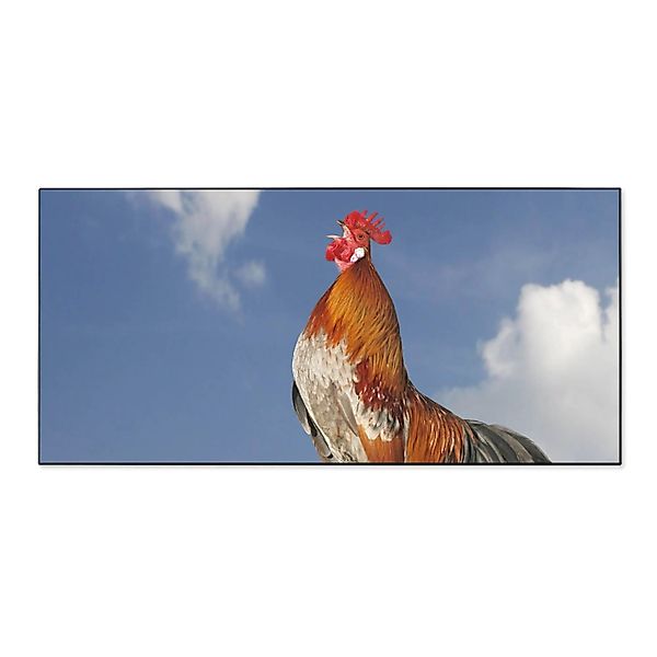 Banjado Magnettafel 78x37cm Magnetwand  Schwarz Aus Metall Magnetpinnwand P günstig online kaufen