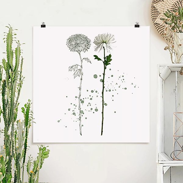 Poster - Quadrat Botanisches Aquarell - Löwenzahn günstig online kaufen