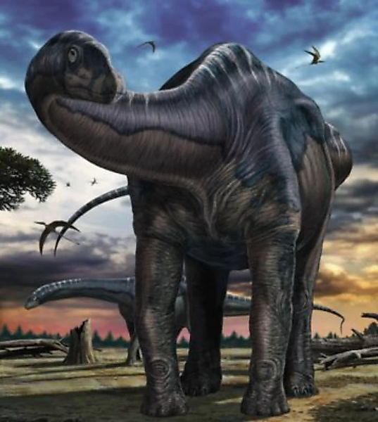 KOMAR Vlies Fototapete - Argentinosaurus - Größe 250 x 280 cm mehrfarbig günstig online kaufen