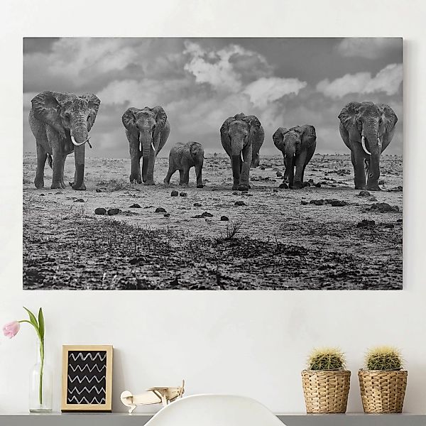 Leinwandbild Elefant - Querformat Großfamilie günstig online kaufen