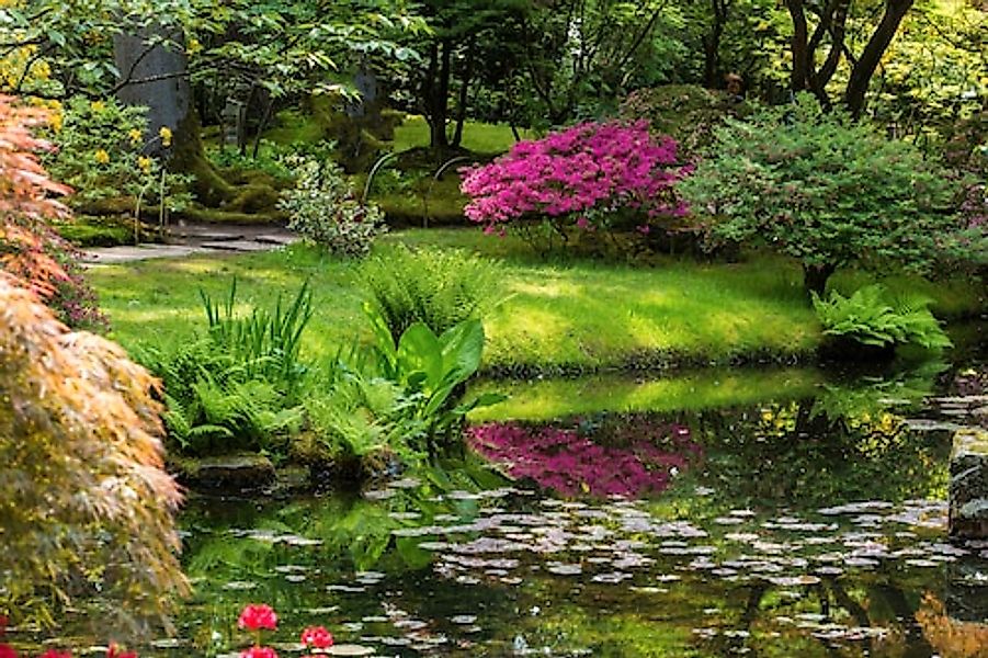 Papermoon Fototapete »GARTEN-BLUMEN BÄUME PFLANZEN STEINE WALD PARK BLÜTEN« günstig online kaufen